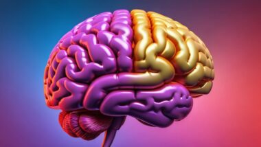 Photo phenylpiracetam